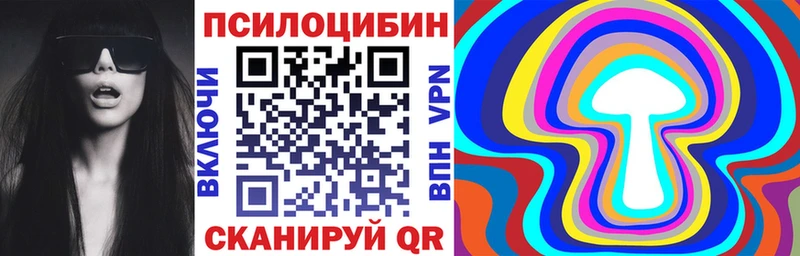 Псилоцибиновые грибы Psilocybe Юрюзань